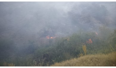 Malatya Valiliği Yangın Bölgesindeki Son Durumu Açıkladı