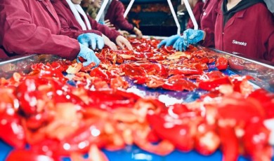 Malatya’da 198 Milyon TL’lik Yatırım Meyvesini Verdi: Ürünler Dünya Pazarına Açılıyor