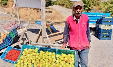 Akçadağ’ın Yöresel Lezzeti Bal Armudu D300 Karayolu Üzerinde Satışa Çıktı