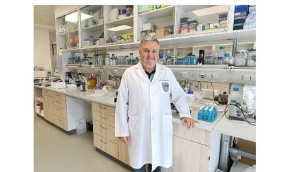 Damar Tıkanıklığında Antibiyotikle Tedavi Umudu: Damarları Bir Parazit Tıkıyor Olabilir