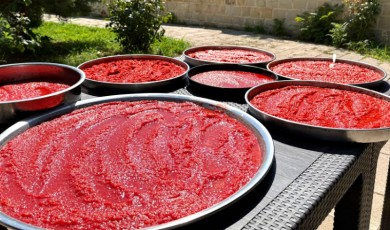 Darende’de Yazın Bereketi Kış Sofralarına Taşınmak İçin Güneşe Serildi