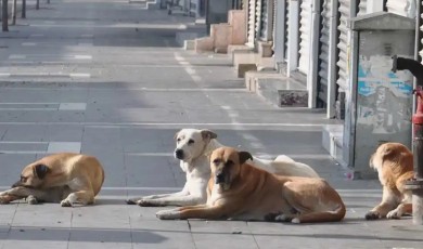 Malatya’da Belediyeler Dikkat: İki Bakanlık Harekete Geçti!