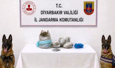 Uzaktan Algılama Sistemleriyle Tespit Edilen 99 Farklı Noktaya Eş Zamanlı Baskın!