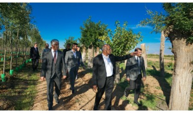 Akçadağ İlçesindeki Üretim Merkezinde Yılda Yirmi Bin Fidan Yetiştiriliyor
