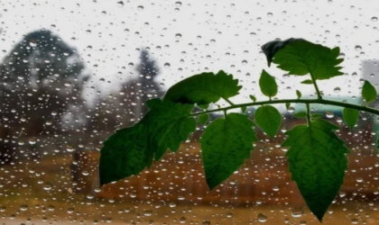 Beş İlçede Öğleden Sonra Sağanak Yağış Bekleniyor