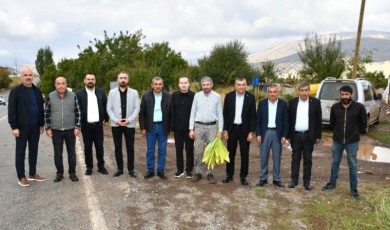 Kurucaova’da Tütün Üreticisi Kara Kara Düşünüyor: “Böyle Giderse Gelecek Yıl Ekemeyiz”