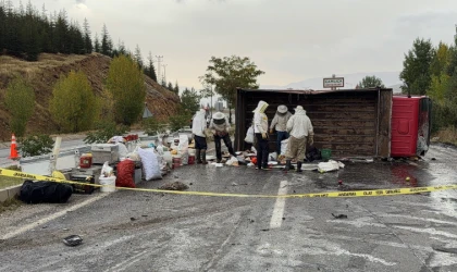 ​Malatya'da Arı Kovanı Yüklü Kamyon Devrildi: Kazada 3 Kişi Yaralandı
