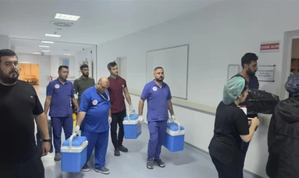 Şanlıurfa'da Yaşanan Evlat Acısı Başka Bedenlerde Umuda Dönüştü