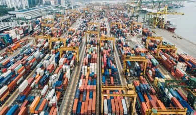Türkiye Genelindeki 19 Serbest Bölgenin İhracatı 9,8 Milyar Dolara Ulaştı