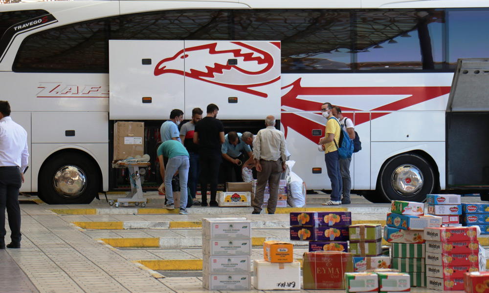 Ülkenin dört bir yanına taze kayısı gönderiliyor