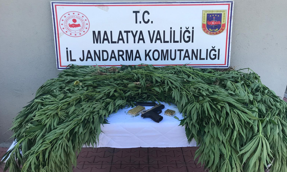 Zehir tacirleri gözaltında!