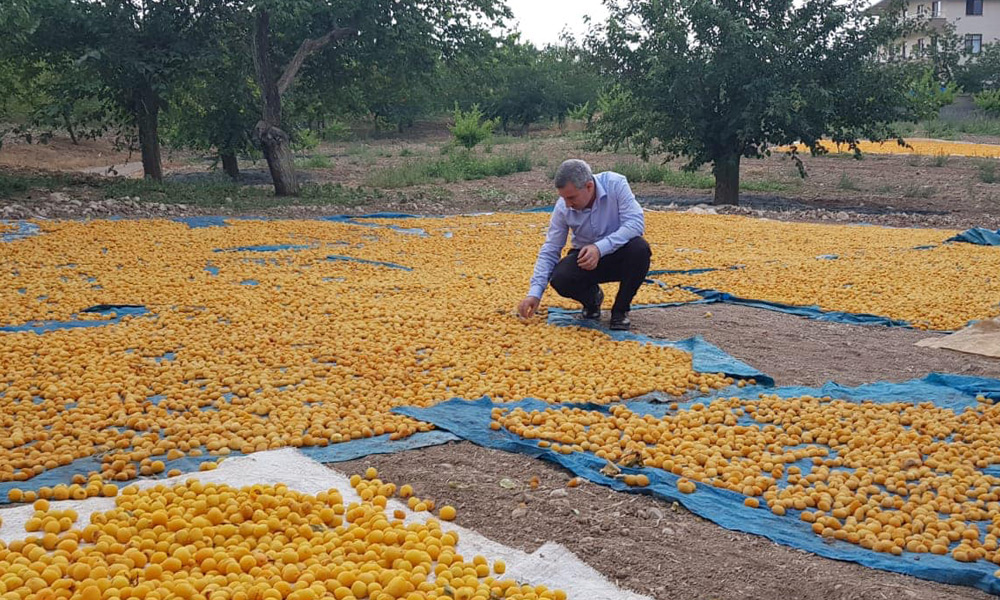 Şu sıralar Malatya'da iki fotoğrafla ilgileniyorum!