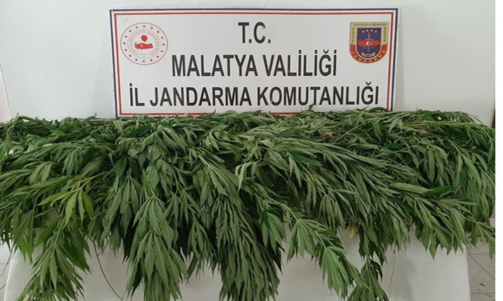 Zehir taciri gözaltında!
