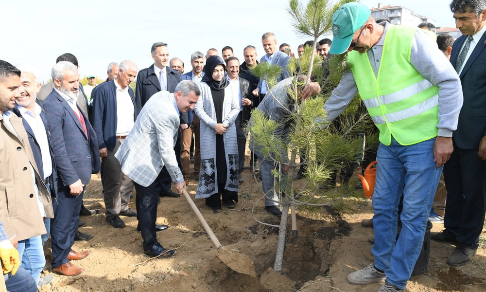 26 bin 589 metrekare alan yeşillendirildi