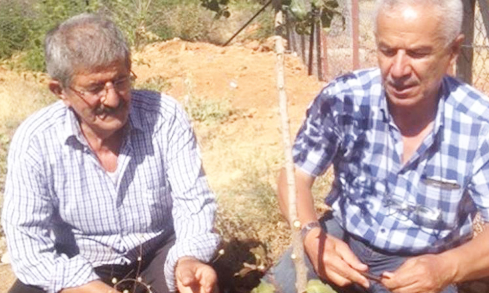 Aşı tuttu