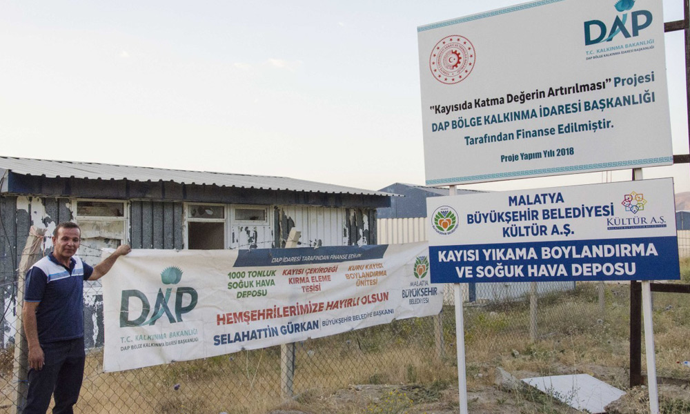 Kayısının değeri artacak!