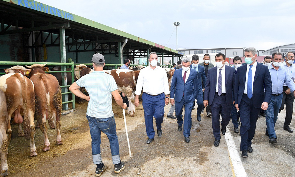 Kesimhanede monoray sistem!