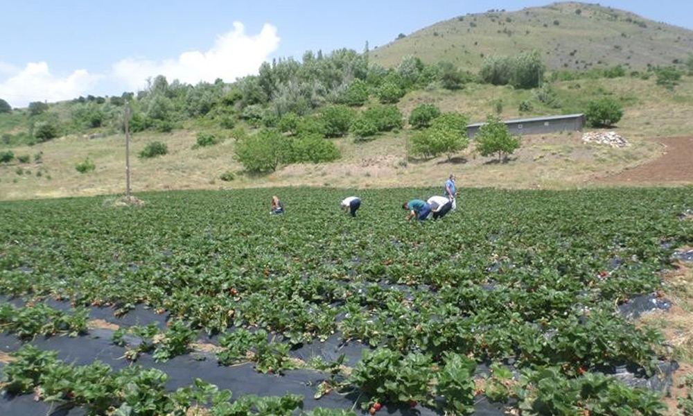 Sıcaklık düşüyor!