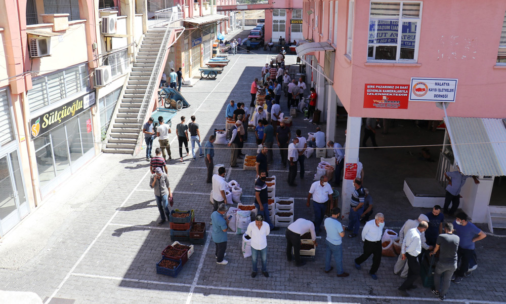 Yeni sezonda mahsüller pazara inmeye başladı