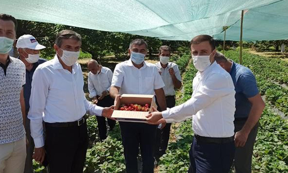 Çilekle Mutlu Yüzler...