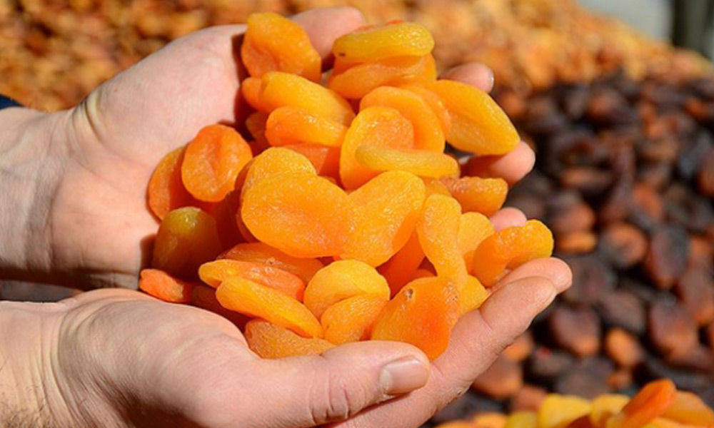 Kayısı için tehlike çanları mı çalıyor?