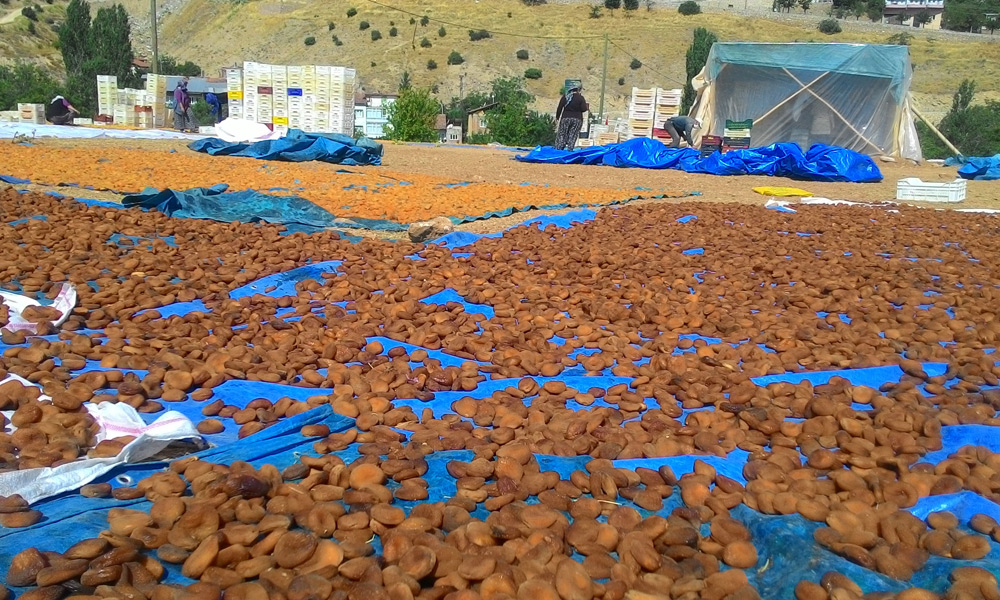 Fiyatlar yüzde yüz arttı!