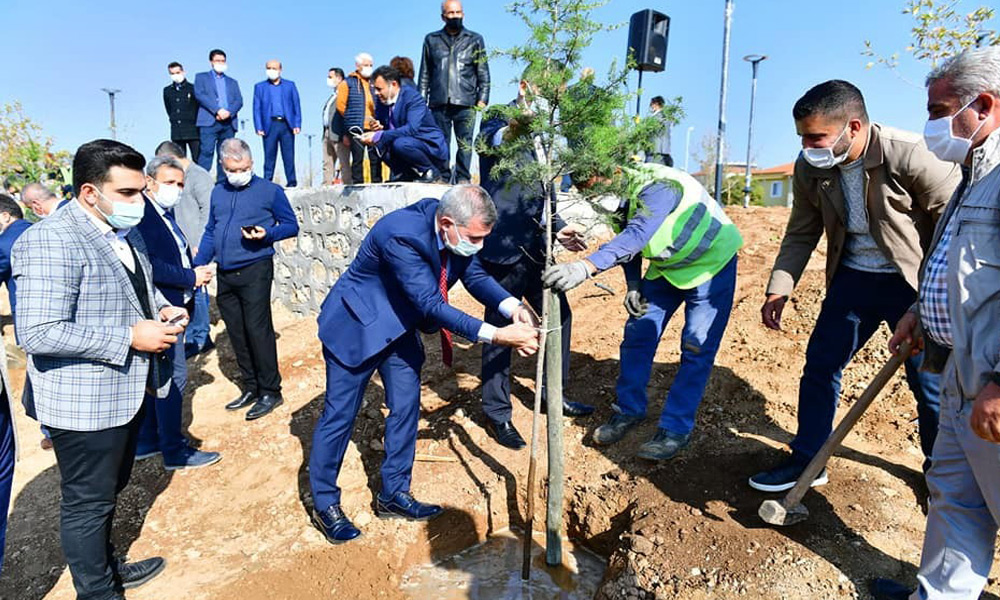 Bugün binlerce fidan toprakla buluşturuldu