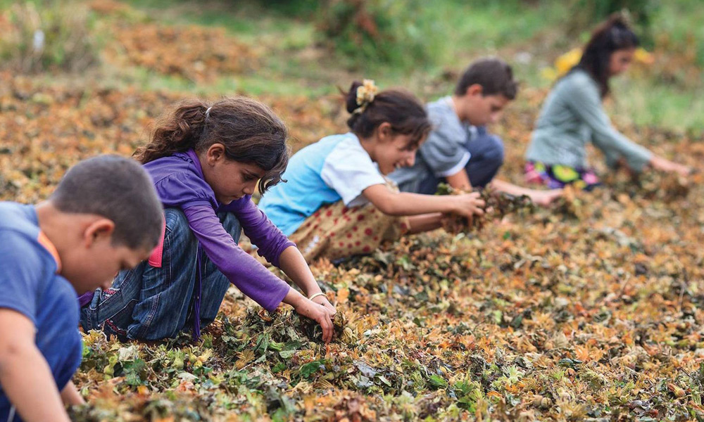 12 bin çocuğa ulaşılacak
