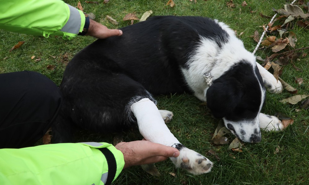 Polisten örnek davranış!