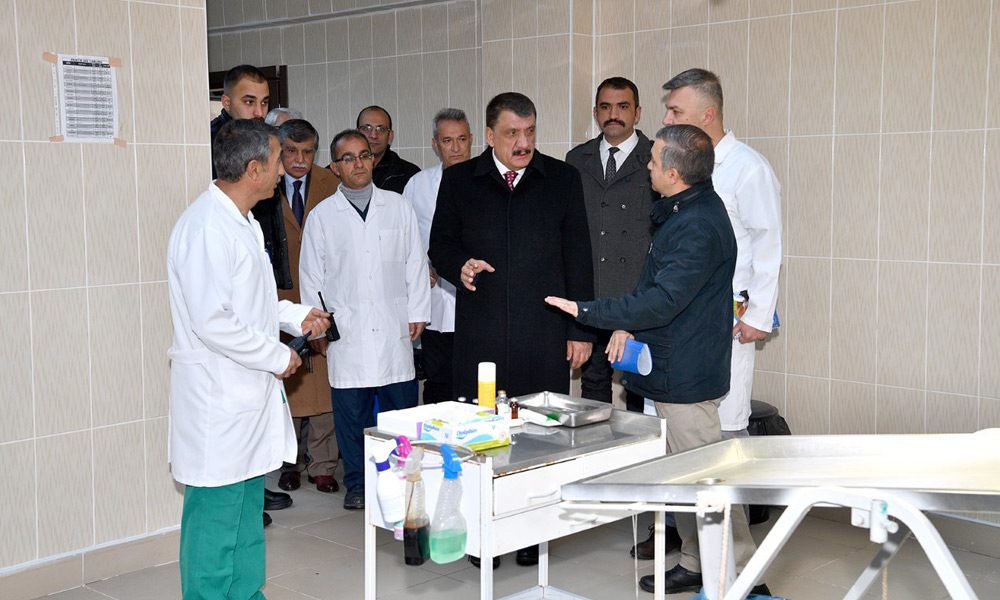 1.125 sokak hayvanının bakımı yapıldı