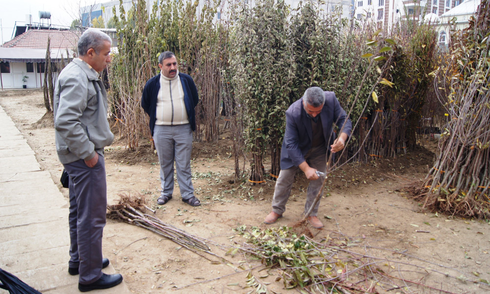 Yine üreticinin ilk tercihi oldu