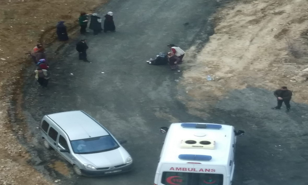 Tecde'de başıboş köpek dehşeti!