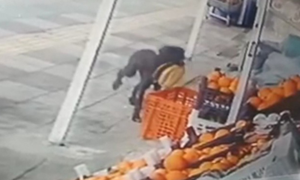Gerçek böyle ortaya çıktı!