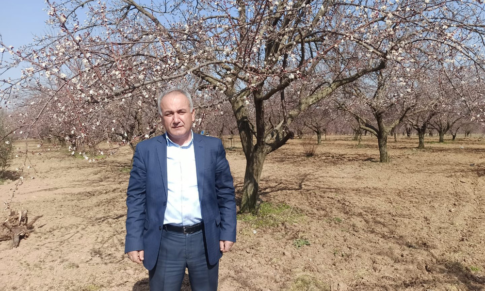 Kentte çiçekler geçen yıla göre bir hafta erken açtı