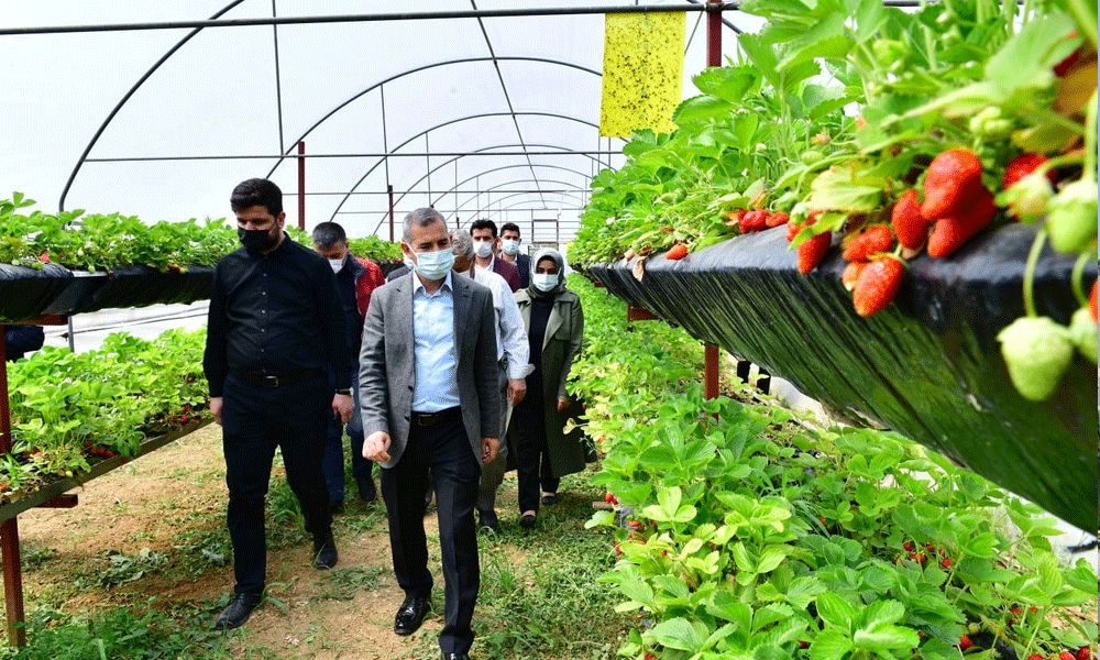 Çınar: Hedefimize doğru sağlam adımlar atıyoruz