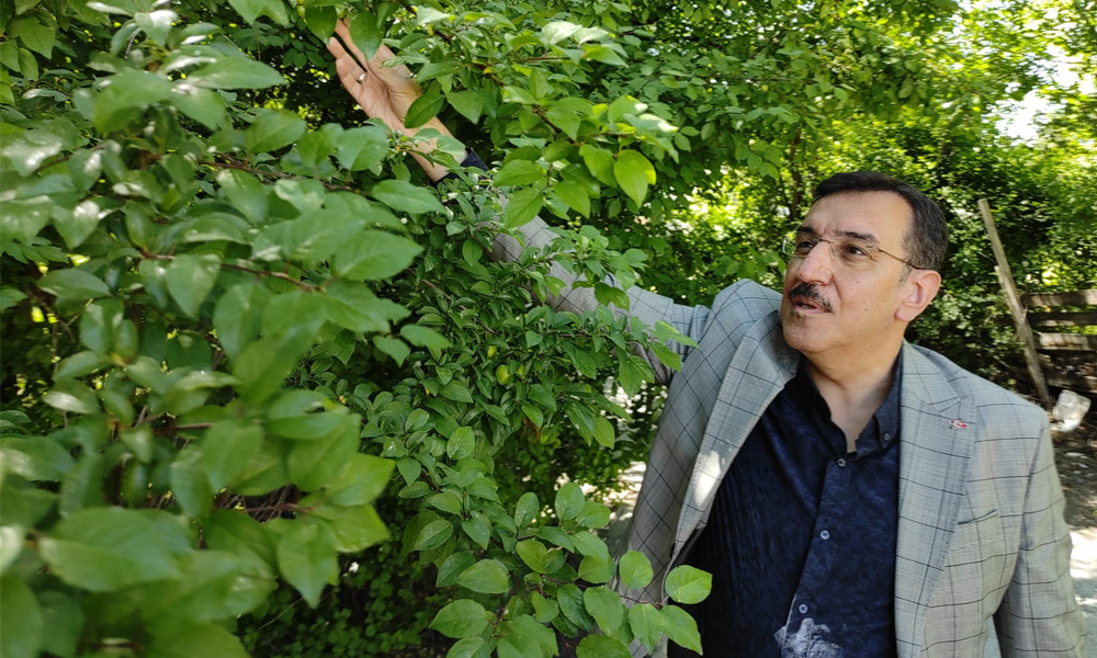 Tüfenkci: Müslümanlar'ın ahı İsrail'i boğacak!
