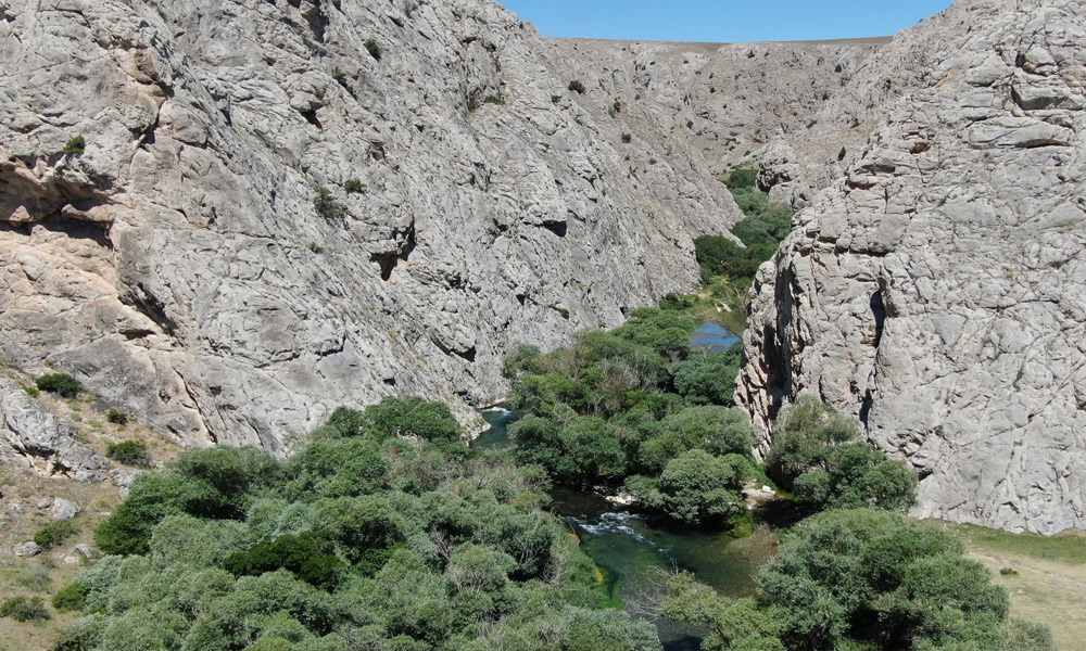 Kaymakam kendini Tohma çayının sularına bıraktı