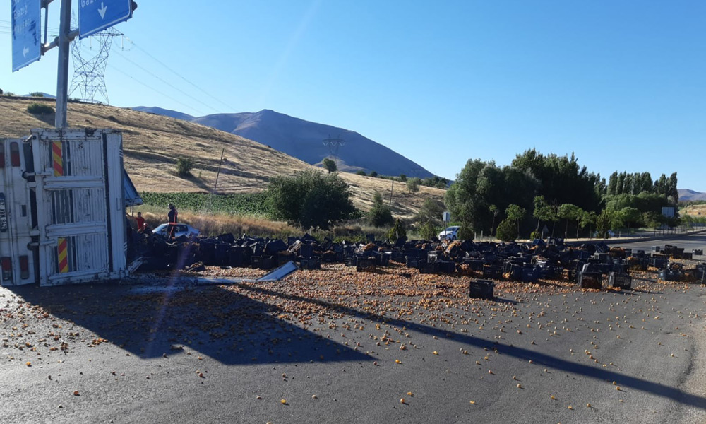 Kayısı yüklü kamyonun devrilmesi sonucu bir kişi öldü