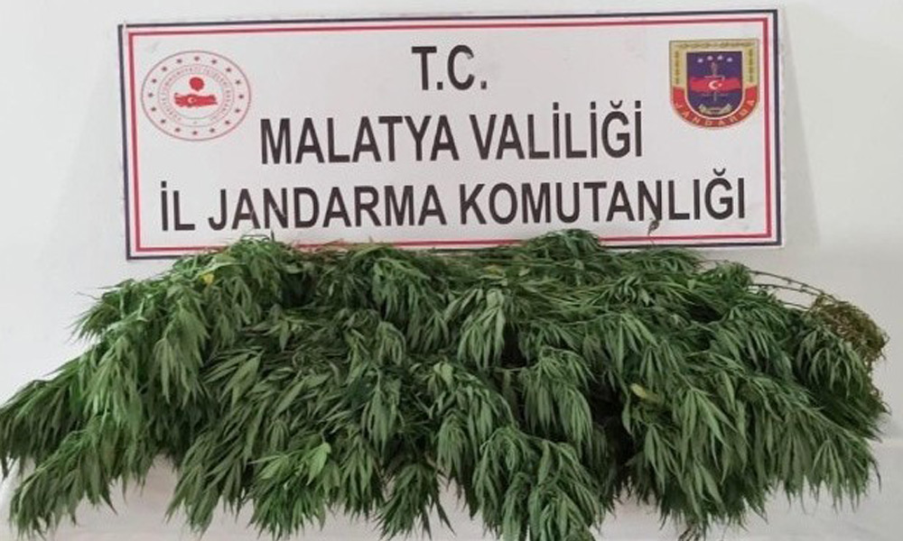 Kaçakçılara göz açtırılmıyor
