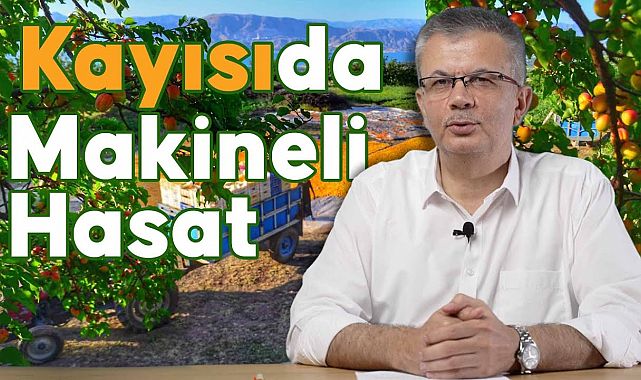 Kayısıda Makineli Hasat - Prof. Dr. İbrahim GEZER